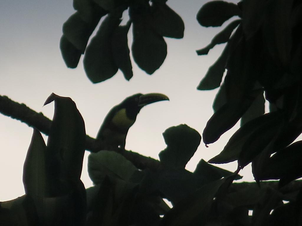 Hostel Y Posada Colibri Puerto Iguazú Kültér fotó