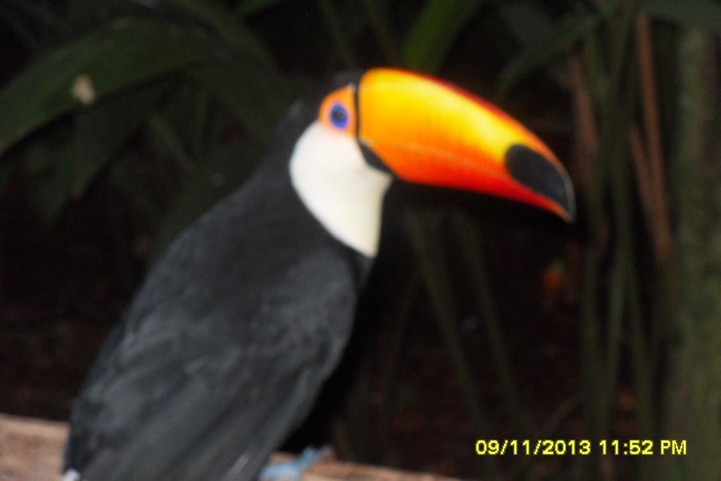 Hostel Y Posada Colibri Puerto Iguazú Kültér fotó